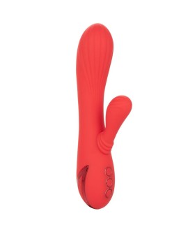 CALEXOTICS - PALISADES PASSION RED