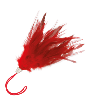 DARKNESS - PLUMA ESTIMULADORA ROJO 17CM para juegos eróticos intensos - DARKNESS SENSATIONS - Boas y Plumas
